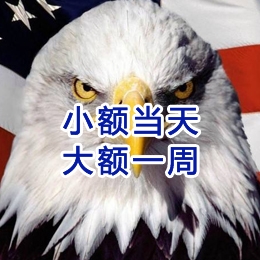 新密要账公司